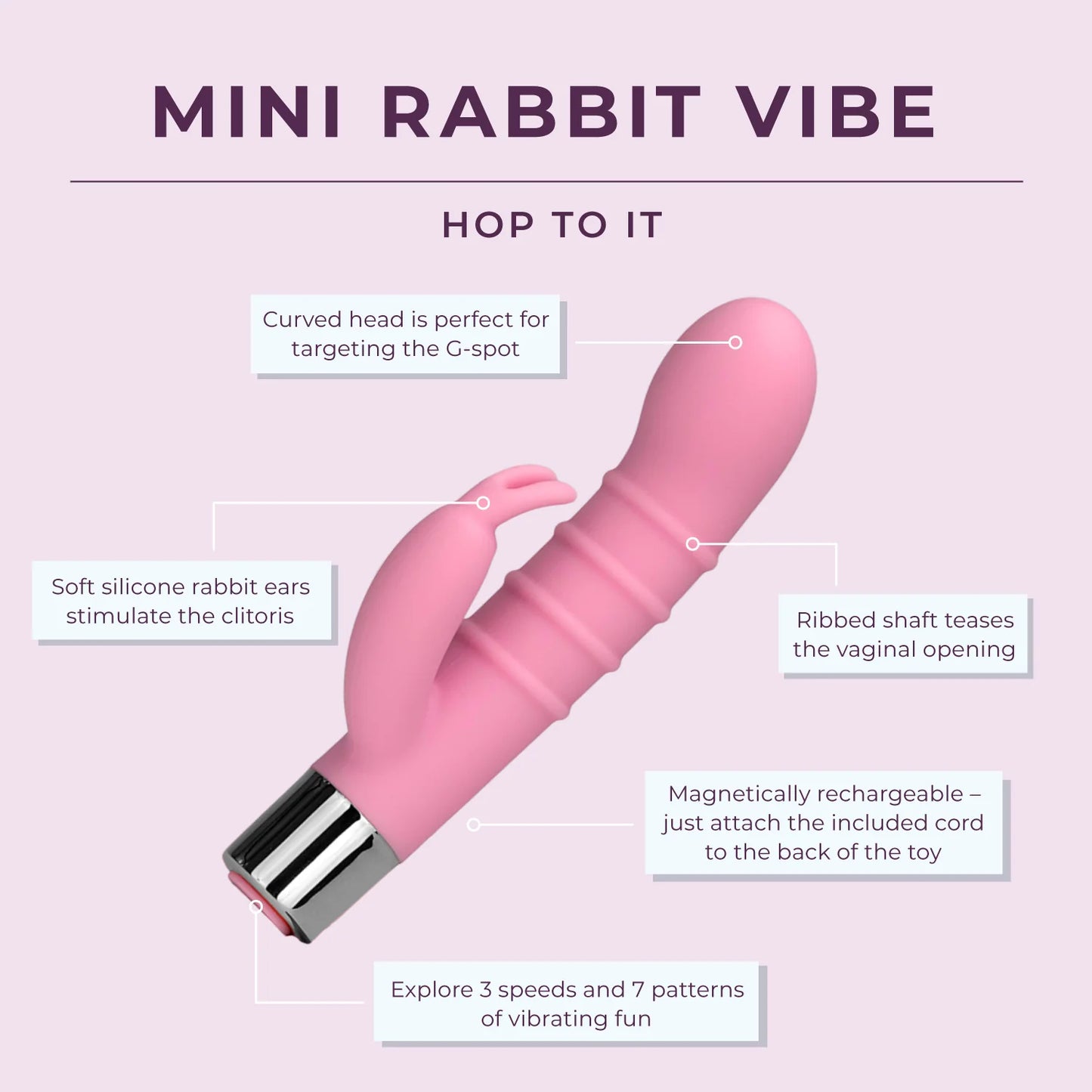 Mini Rabbit - Budget Friendly for Beginners - IN STOCK - 4 LEFT!