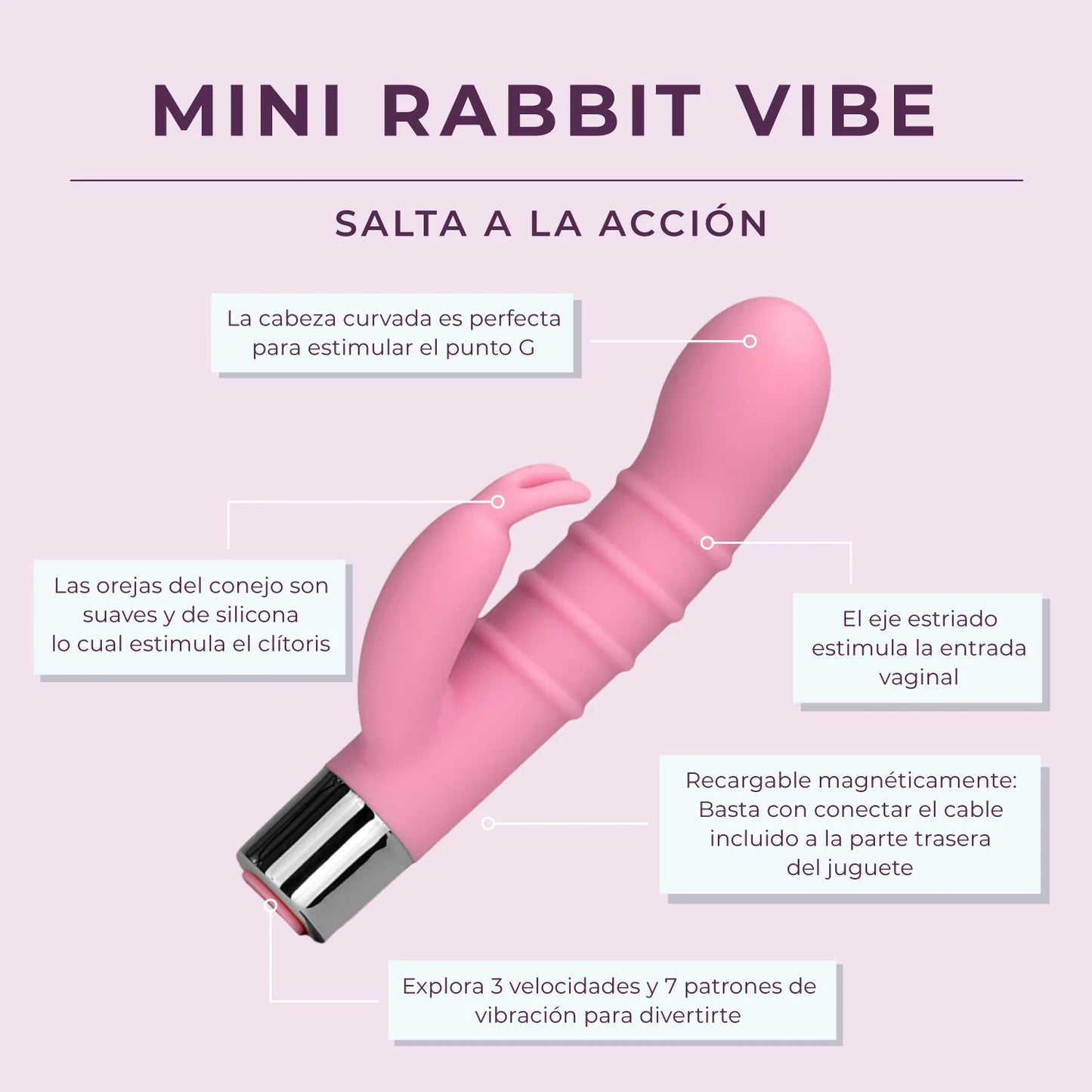 Mini Rabbit - Budget Friendly for Beginners - IN STOCK - 4 LEFT!