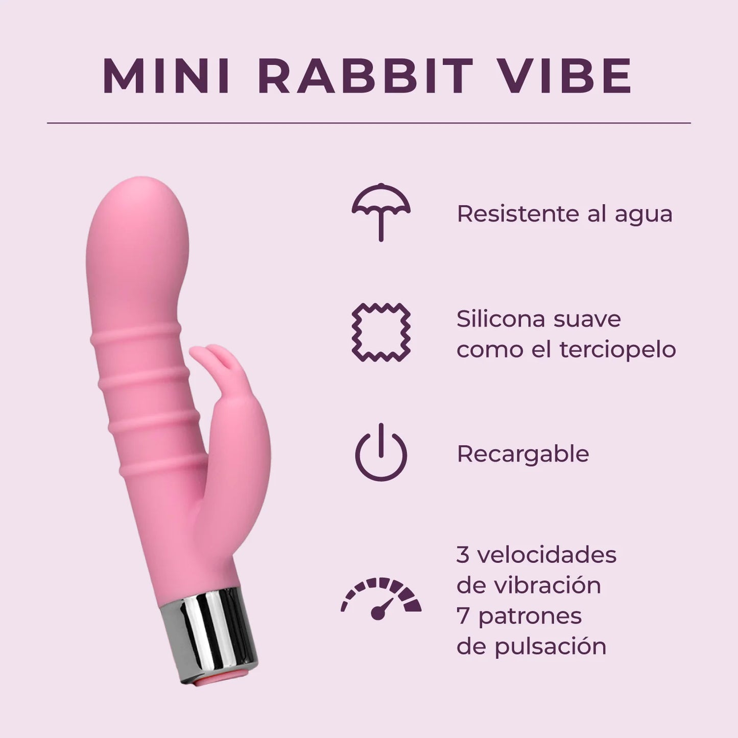 Mini Rabbit - Budget Friendly for Beginners - IN STOCK - 4 LEFT!