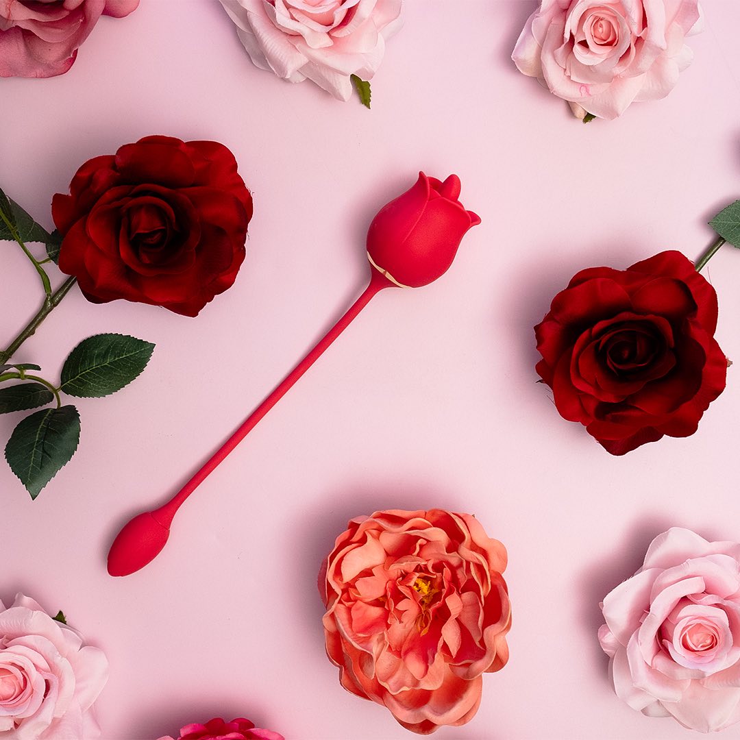 Petal Pleaser Rose with Tongue - 12 LEFT!