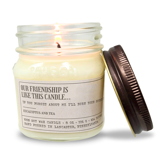 Our Friendship Is Like This Candle, If You Forget About Me, I'll Burn Your House Down - Funny Birthday Gift - 8oz Soy Candle