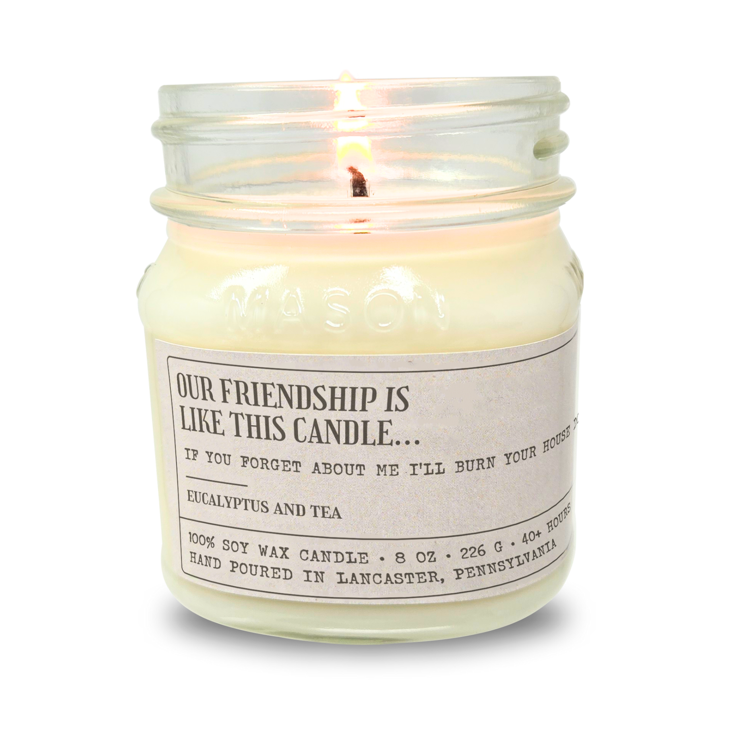 Our Friendship Is Like This Candle, If You Forget About Me, I'll Burn Your House Down - Funny Birthday Gift - 8oz Soy Candle