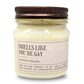 Smells Like You're Gay - Funny LGBTQIA+ Coming Out Gift - 8oz Soy Wax Candle - VALGINA.com