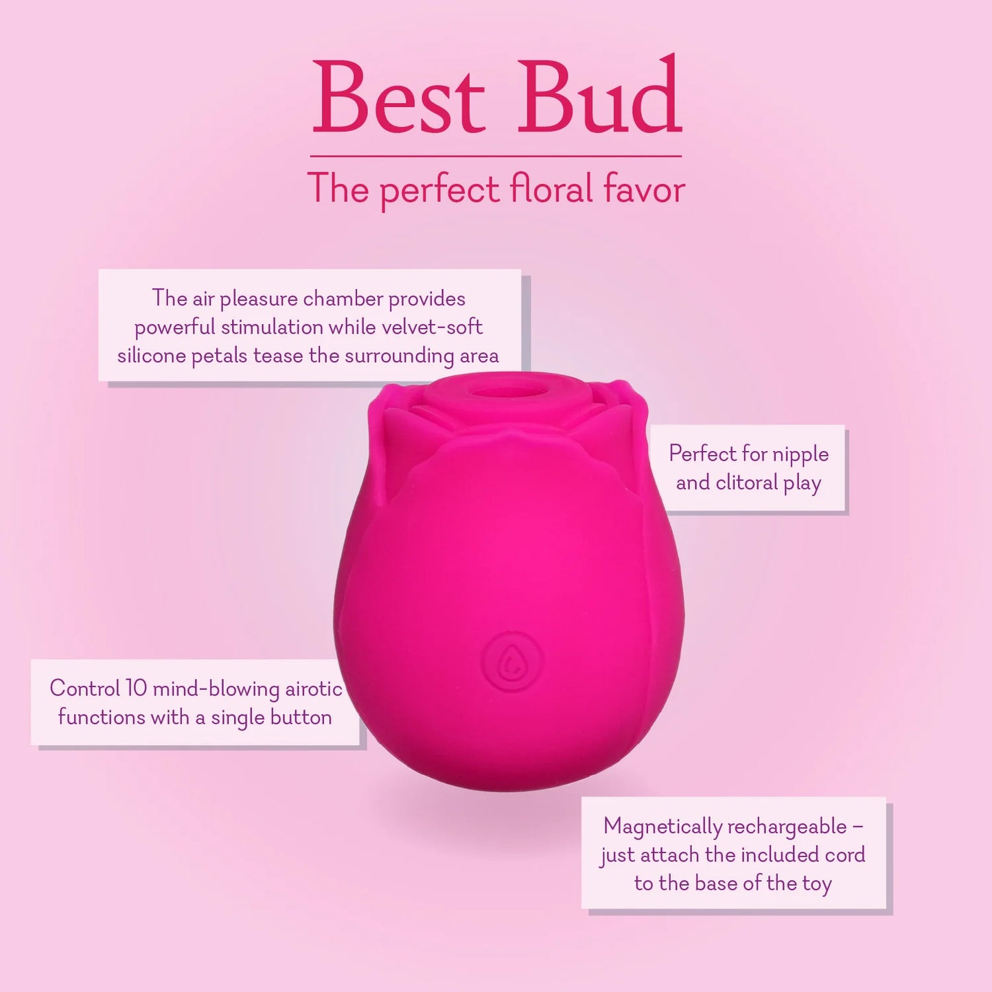 Best Bud Rose - IN STOCK - 11 LEFT! - Pure Romance