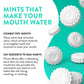 Flintts Mints - Individual Packs - 8 Single Flavors - Create Your Own 3 Pack - VALGINA.com