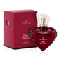 Pure Passion Perfume ‚– 80ml or 10ml - NEW! www.VALGINA.com 