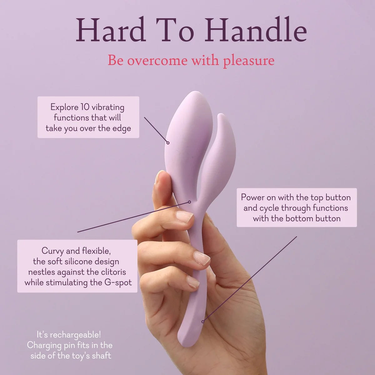 Hard To Handle - IN STOCK - 6 LEFT! - Pure Romance