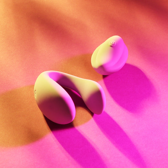 In Sync Remote Controlled Couples Vibrator - NEW!