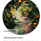 Evree All Over Intimate Massage Cream - Coconut Lime or Pineapple Orange