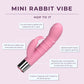 Mini Rabbit - Budget Friendly for Beginners - IN STOCK - 4 LEFT! - VALGINA.com