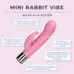 Mini Rabbit - Budget Friendly for Beginners - IN STOCK - 4 LEFT! - VALGINA.com