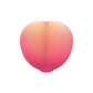 Pink Peach Romp rechargeable vibrator detail - ValGina.com