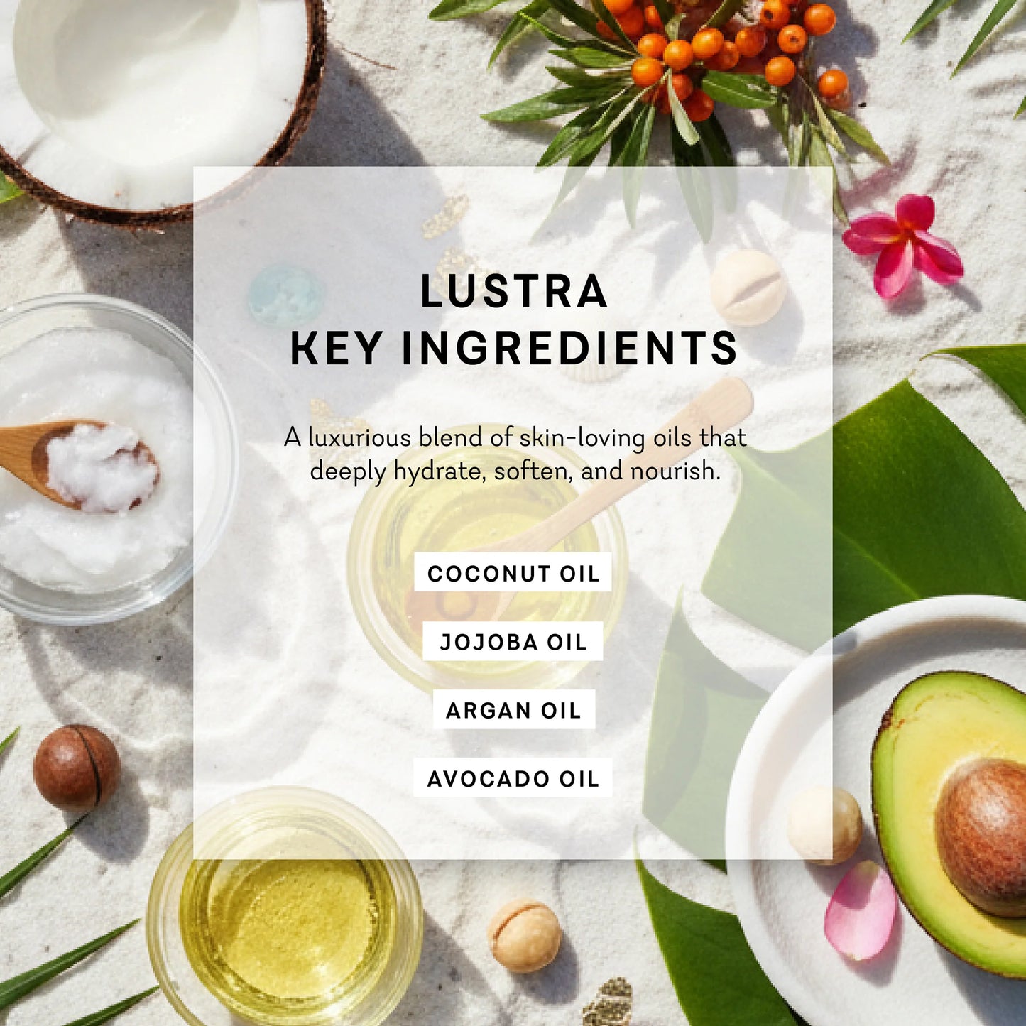 Lustra key ingredients with coconut, jojoba, argan, and avocado oils on a natural background. lustra body dew sweet temptation sweet temptation pure romance www.VALGINA.com 