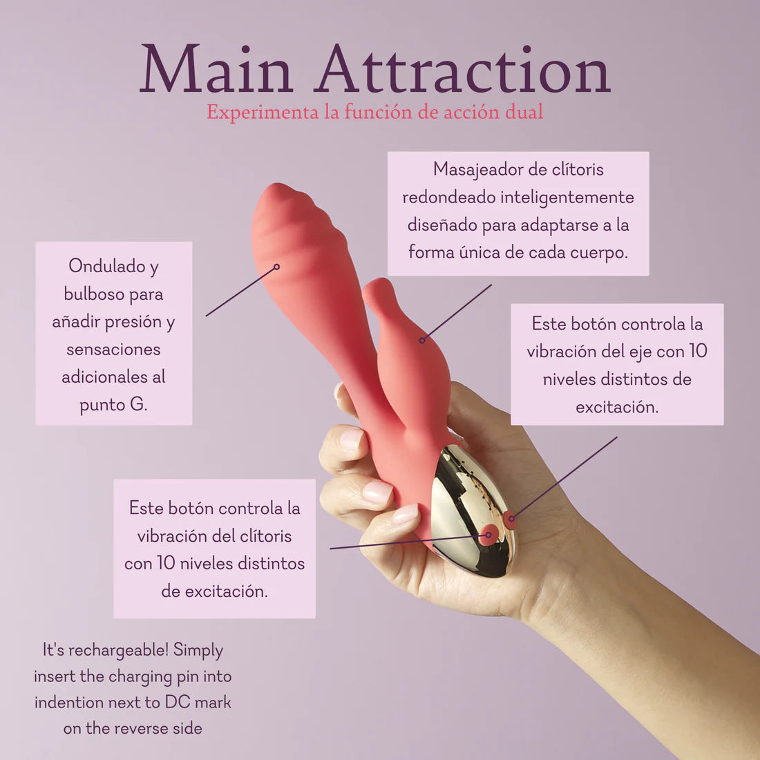 Main Attraction - BEST SELLER!