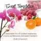 Pheromone Shower Gel & V Wash & Bubble Bath - Skinny Dip - Sweet Temptation - 31 LEFT! - VALGINA.com